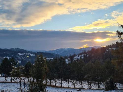 received_1683390191868069