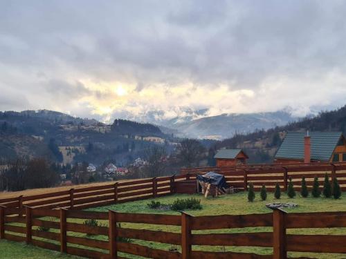 received_288838772648173