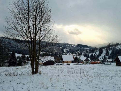 received_901642473947066